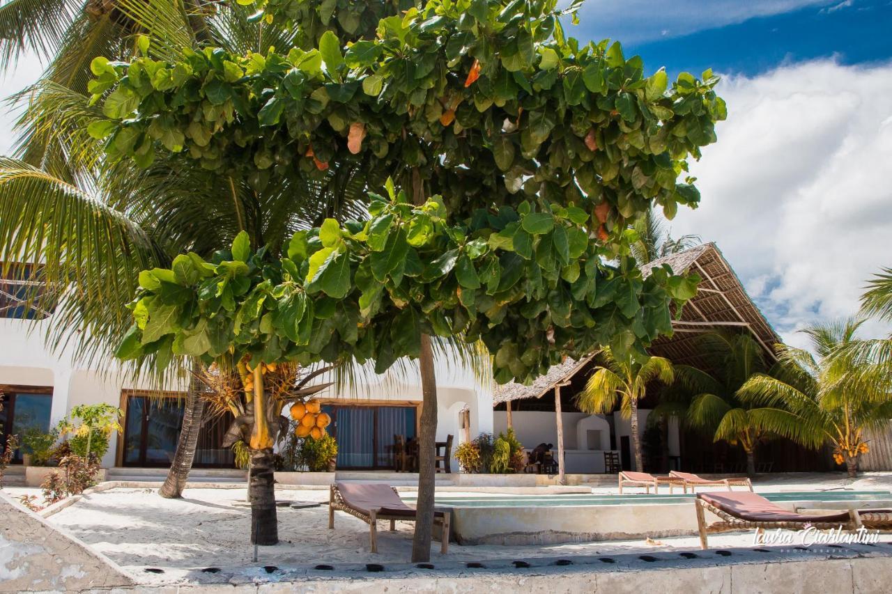 Uroa Zanzibar Vera Beach Hotel By Moonshine Dikoni ภายนอก รูปภาพ