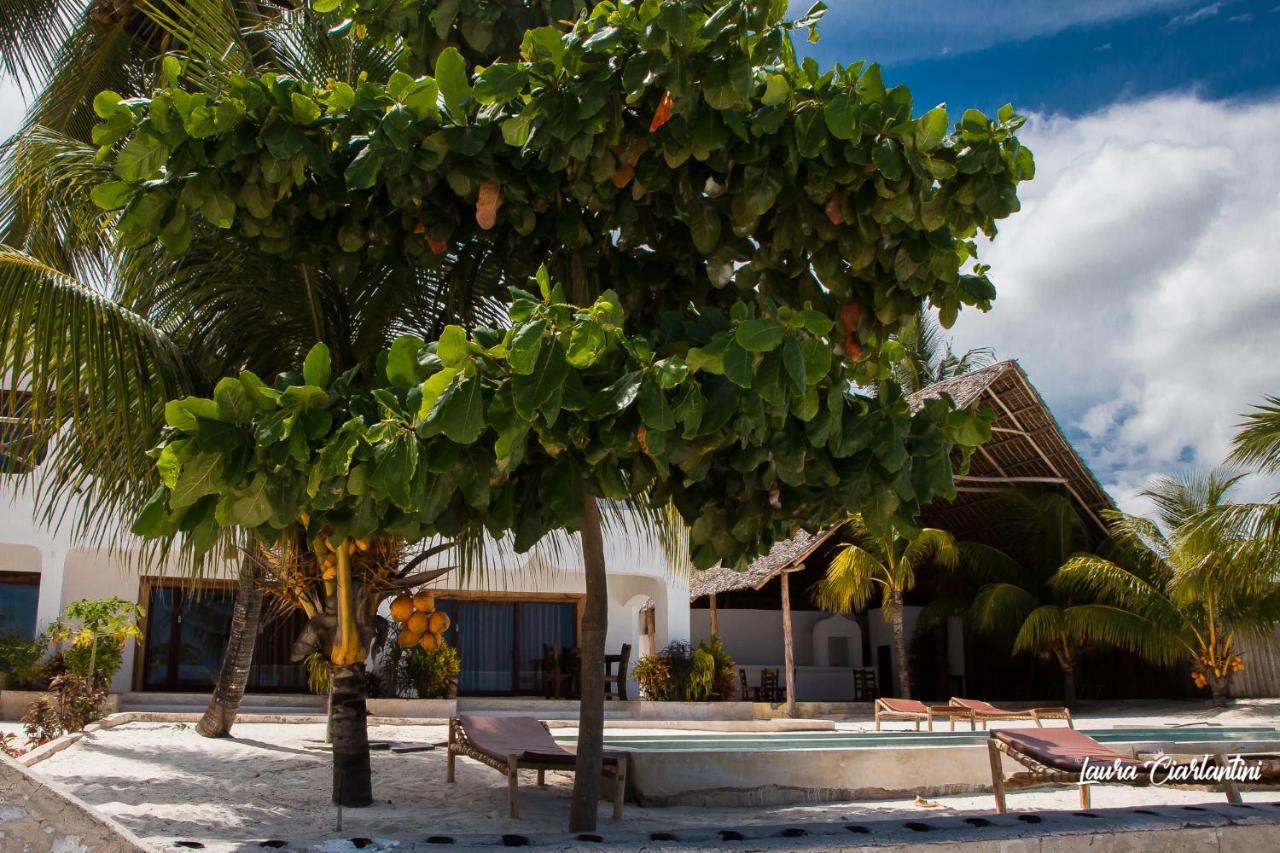 Uroa Zanzibar Vera Beach Hotel By Moonshine Dikoni ภายนอก รูปภาพ